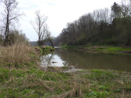 7. april, mednarodni dan bobra in Dan za spremembe 22